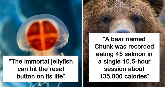 44 Fun And Interesting Facts That Might Delight Animal Lovers
