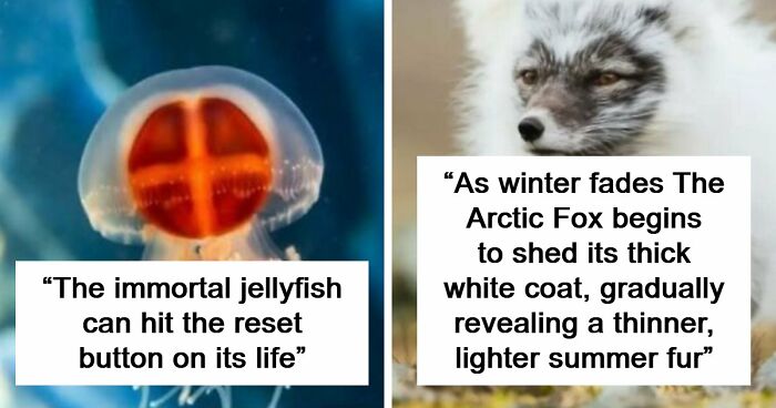 44 Fun And Interesting Facts That Might Delight Animal Lovers