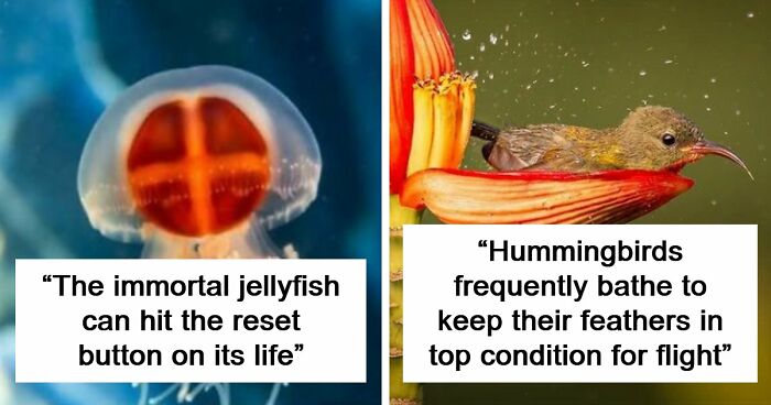 44 Fun And Interesting Facts That Might Delight Animal Lovers