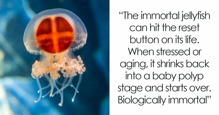 44 Fun And Interesting Facts That Might Delight Animal Lovers