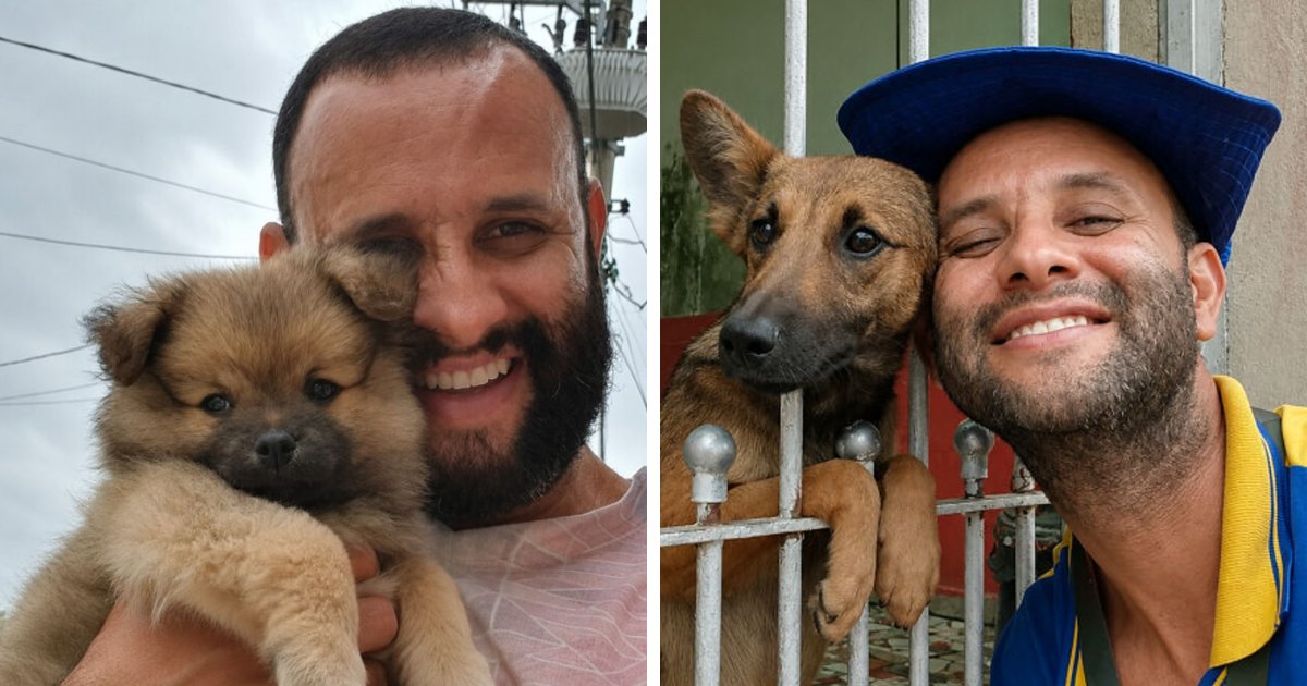 24 Adorable Photos of Dogs Rushing Out To Meet the Mail Carrier