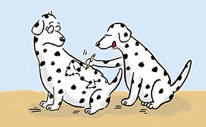 33 Silent Animal Comics By Jonny Hawkins That Don't Need Words To Make You Laugh