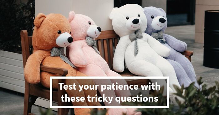 Prove You Can Outsmart These 16 Tricky Questions That Most People Get Annoyed At