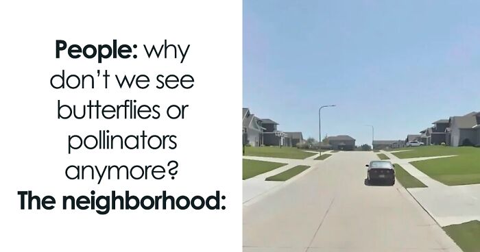 “400% Price Difference”: 91 Photos That Show How Insulting Consumerism Has Gotten (New Pics)
