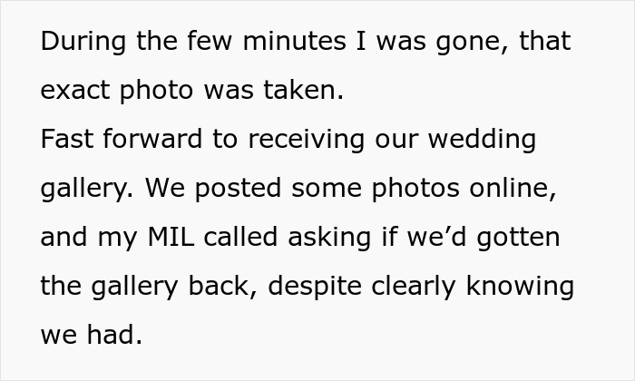 Toxic MIL Excludes Bride From Wedding Portrait, Petty Bride Erases It From The Gallery