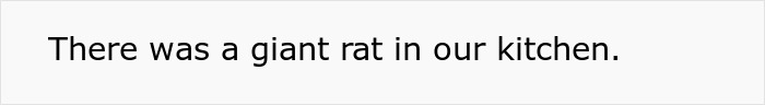 Evil Landlord Ignores Rat-Infested House, Tenant Makes Sure To Ruin Every House Viewing After That Evil Landlord Ignores Rat-Infested House, Tenant Makes Sure To Ruin Every House Viewing After That