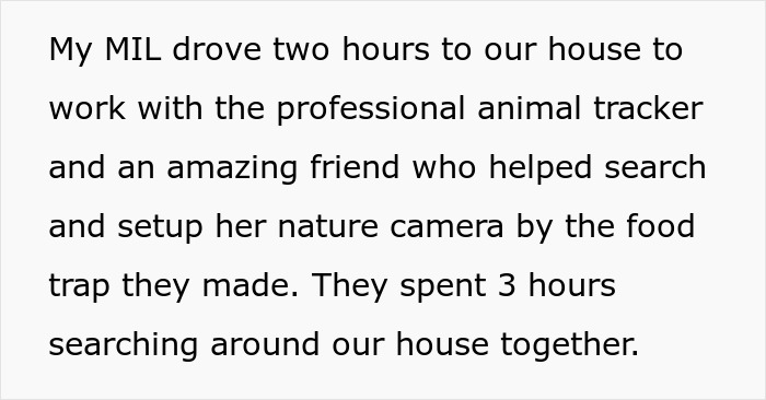 Family members work with an animal tracker and friend to find a lost cat after a house sitter mishap.