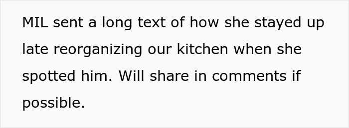 A MIL texts about reorganizing the kitchen when she spotted the lost cat, a happy update after a house sitter problem.