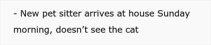 New pet sitter arriving and not seeing the cat, emphasizing the lost cat issue from the house sitter.