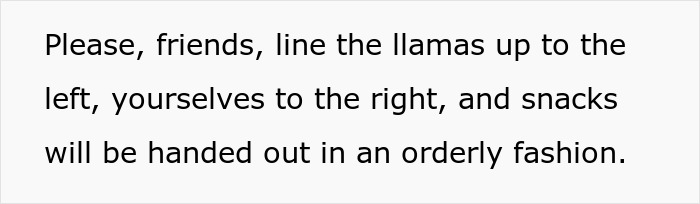 Text snippet with humorous instructions for attendees at a will reading: 'line the llamas up to the left'. Text snippet with humorous instructions for attendees at a will reading: 'line the llamas up to the left'.