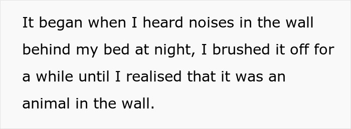 Evil Landlord Ignores Rat-Infested House, Tenant Makes Sure To Ruin Every House Viewing After That Evil Landlord Ignores Rat-Infested House, Tenant Makes Sure To Ruin Every House Viewing After That
