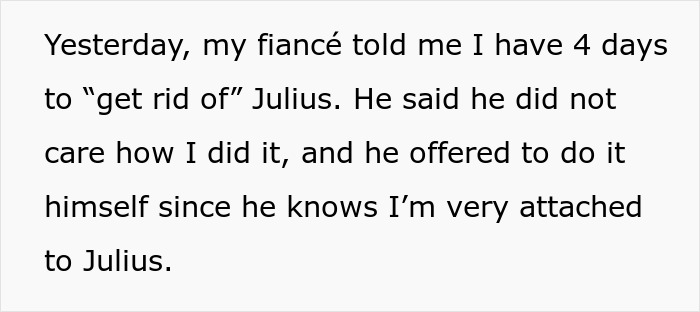 A screenshot of text describing a fiancé issuing an ultimatum about his partner's cat, impacting their engagement. A screenshot of text describing a fiancé issuing an ultimatum about his partner's cat, impacting their engagement.