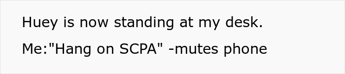 IT Worker Takes Down Buffoon Accountant With Clever Plan, Says "Network's Down" Right Back At Her IT Worker Takes Down Buffoon Accountant With Clever Plan, Says "Network's Down" Right Back At Her