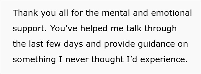 Text expressing gratitude for mental and emotional support after a house sitter experience with a crashed car and lost cat.