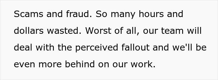 A software engineer laments the wasted time and money due to hiring scams and fraud, impacting team progress.