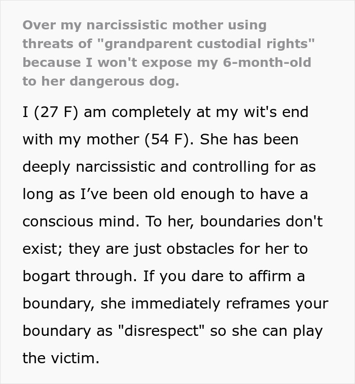 Screenshot: A daughter shares her experience with a delusional mom threatening to sue over her dog and boundaries. Screenshot: A daughter shares her experience with a delusional mom threatening to sue over her dog and boundaries.