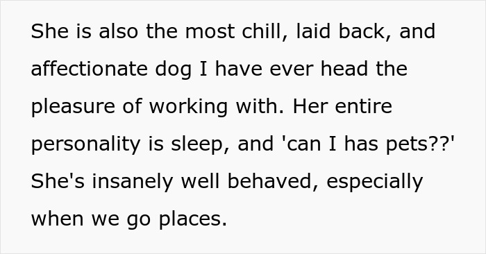 Text praising the service dog's calm, affectionate, and well-behaved personality in public, especially at a wedding event.
