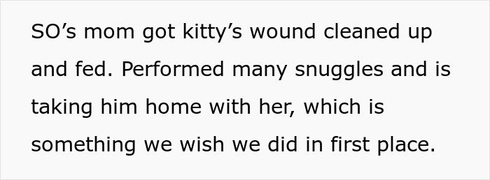 The lost cat gets wound cleaned, fed, and snuggles from SO's mom after the house sitter event.
