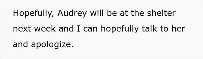 A screenshot of a cheating ex story where the ex plans to apologize to Audrey at a shelter.