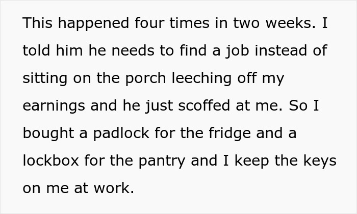 Text snippet explaining the sister buying a padlock for the fridge to stop the moocher brother from raiding food.