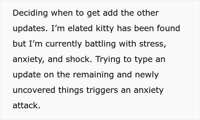 Text about stress, anxiety, and shock after a house sitter experience, with a lost cat found and updates pending.