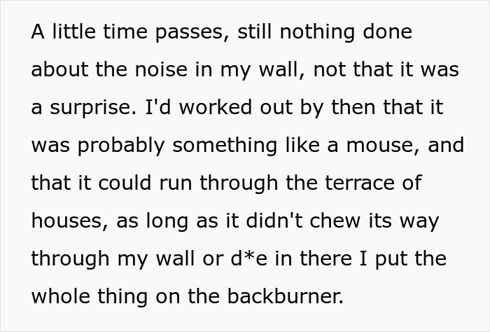 Evil Landlord Ignores Rat-Infested House, Tenant Makes Sure To Ruin Every House Viewing After That Evil Landlord Ignores Rat-Infested House, Tenant Makes Sure To Ruin Every House Viewing After That