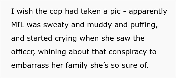 Groom's mom sweaty, muddy, and puffing, crying to officer, whining about a conspiracy to embarrass her family at the wedding.