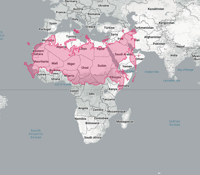 A map demonstrating the actual scale of Russia, superimposed over parts of Africa and Europe, revealing its immense size.