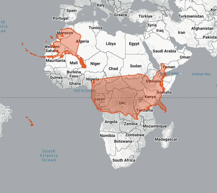 A map comparing the actual scale of the United States to several countries in Central Africa, showing its relative size.