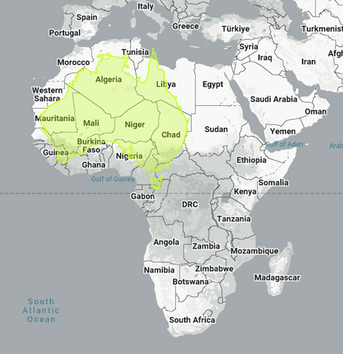 A map showing the actual scale of Australia, overlaid on North Africa, emphasizing its large landmass.