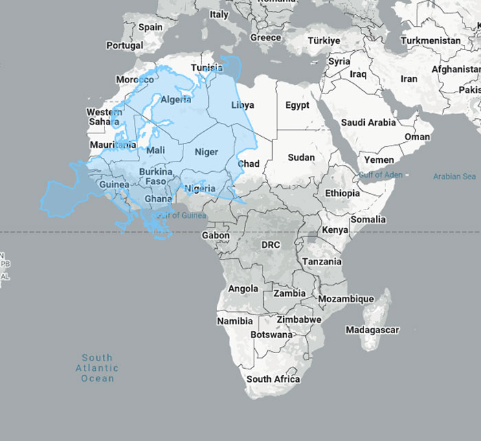 Map shows the actual scale of Greenland superimposed on the continent of Africa, highlighting their relative sizes.