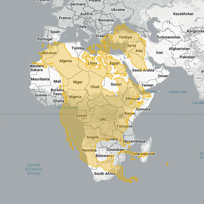 Map shows the actual scale of North America superimposed on the continent of Africa, highlighting their relative sizes.