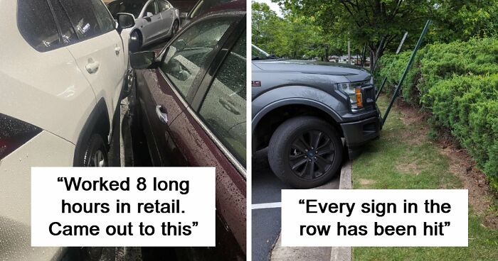 71 Times People Saw Such Outrageous Parking, They Had To Share The Pics Online