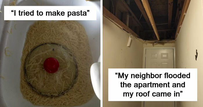 87 People Who Are Having A Way Worse Day Than You