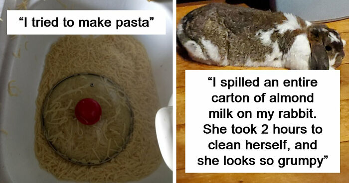 87 People Who Are Having A Way Worse Day Than You