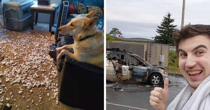 87 People Who Are Having A Way Worse Day Than You