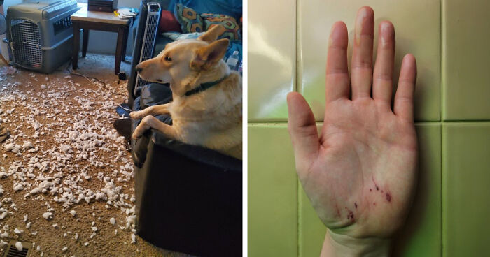 87 People Who Are Having A Way Worse Day Than You