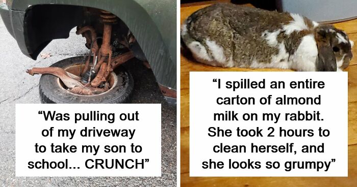 87 People Who Are Having A Way Worse Day Than You