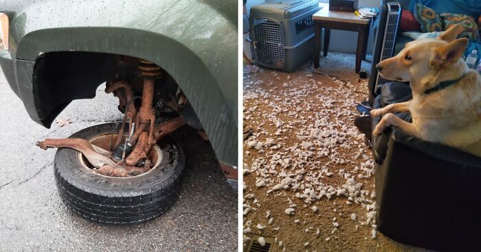 87 People Who Are Having A Way Worse Day Than You