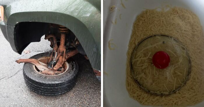 87 People Who Are Having A Way Worse Day Than You
