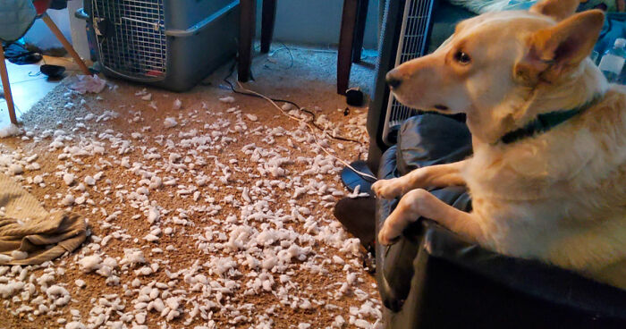 87 People Who Are Having A Way Worse Day Than You