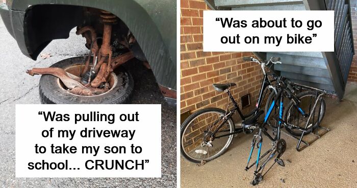87 People Who Are Having A Way Worse Day Than You