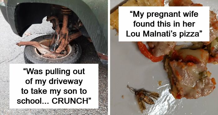 87 People Who Are Having A Way Worse Day Than You