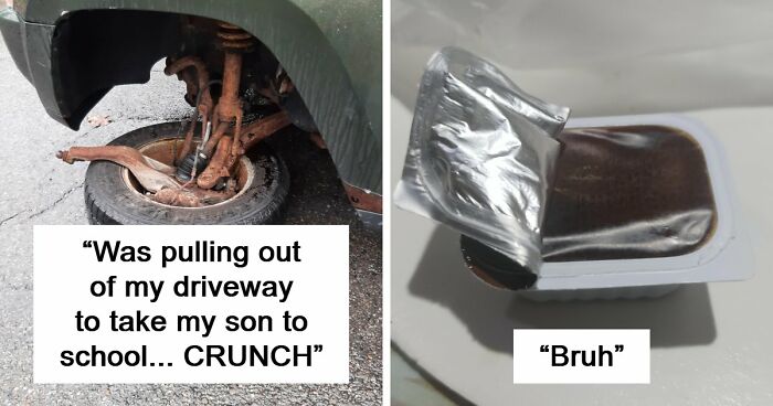 87 People Who Are Having A Way Worse Day Than You