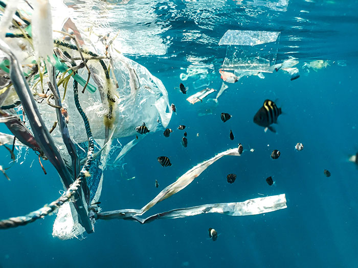 Underwater scene with marine life and plastic pollution, revealing beautiful facts about ocean conservation.
