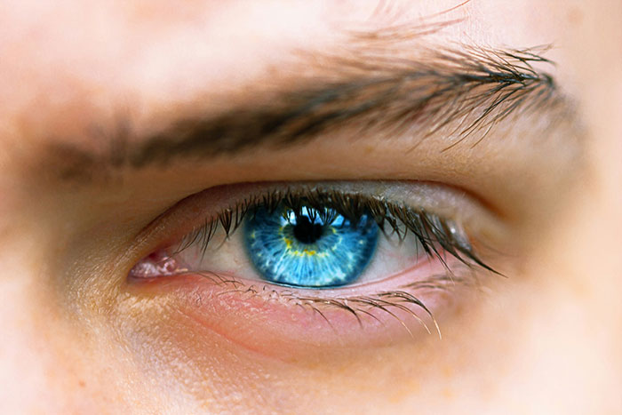 A close-up of a human eye with vibrant blue iris, showing beautiful facts of human anatomy.