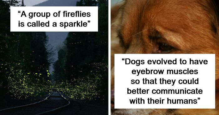66 Beautiful Facts That Sound Too Good To Be True But Are Actually Real