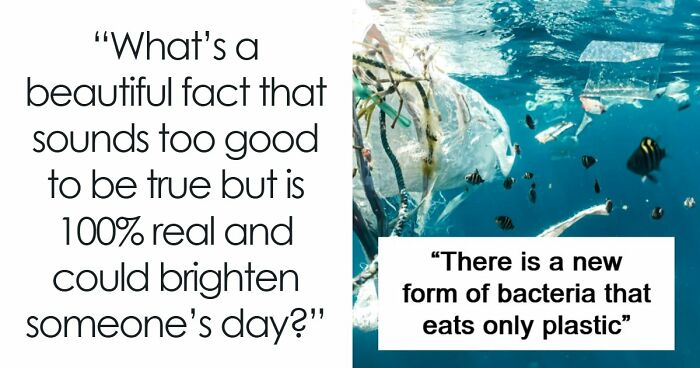 66 Beautiful Facts That Sound Too Good To Be True But Are Actually Real
