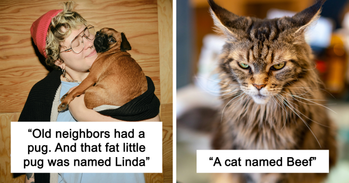 53 Times People Heard Such Brilliant And Bizarre Pet Names That They Just Had To Share