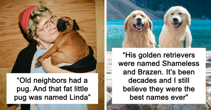 53 Times People Heard Such Brilliant And Bizarre Pet Names That They Just Had To Share